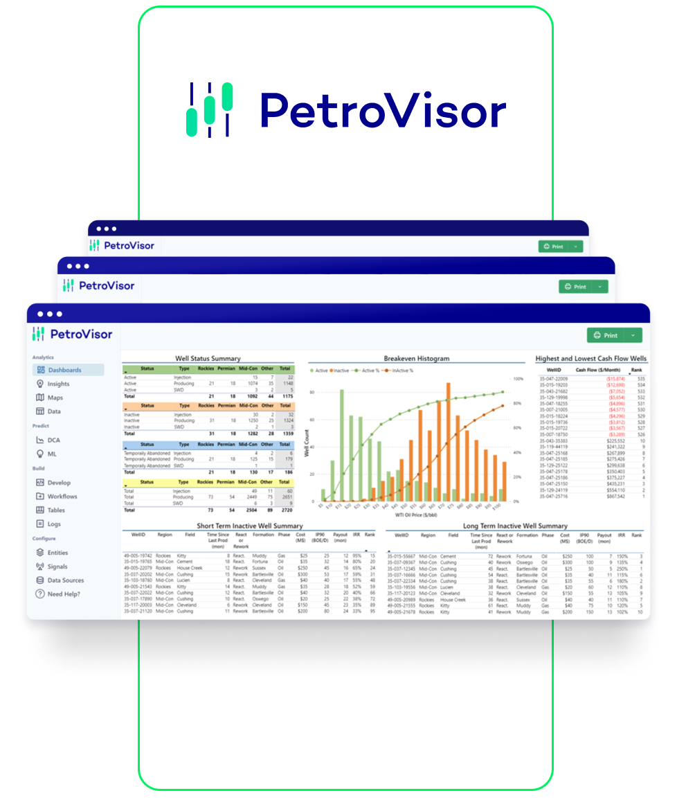 PetroVisor